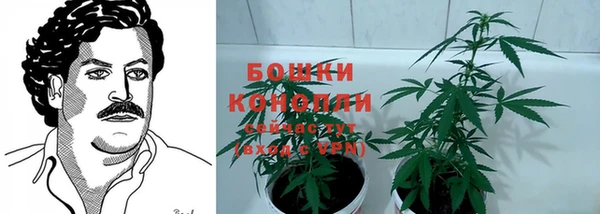 прущие крисы Магадан
