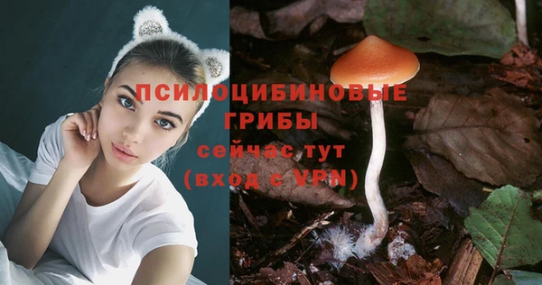 PSILOCYBIN Магас