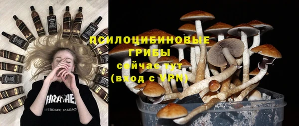 PSILOCYBIN Магас